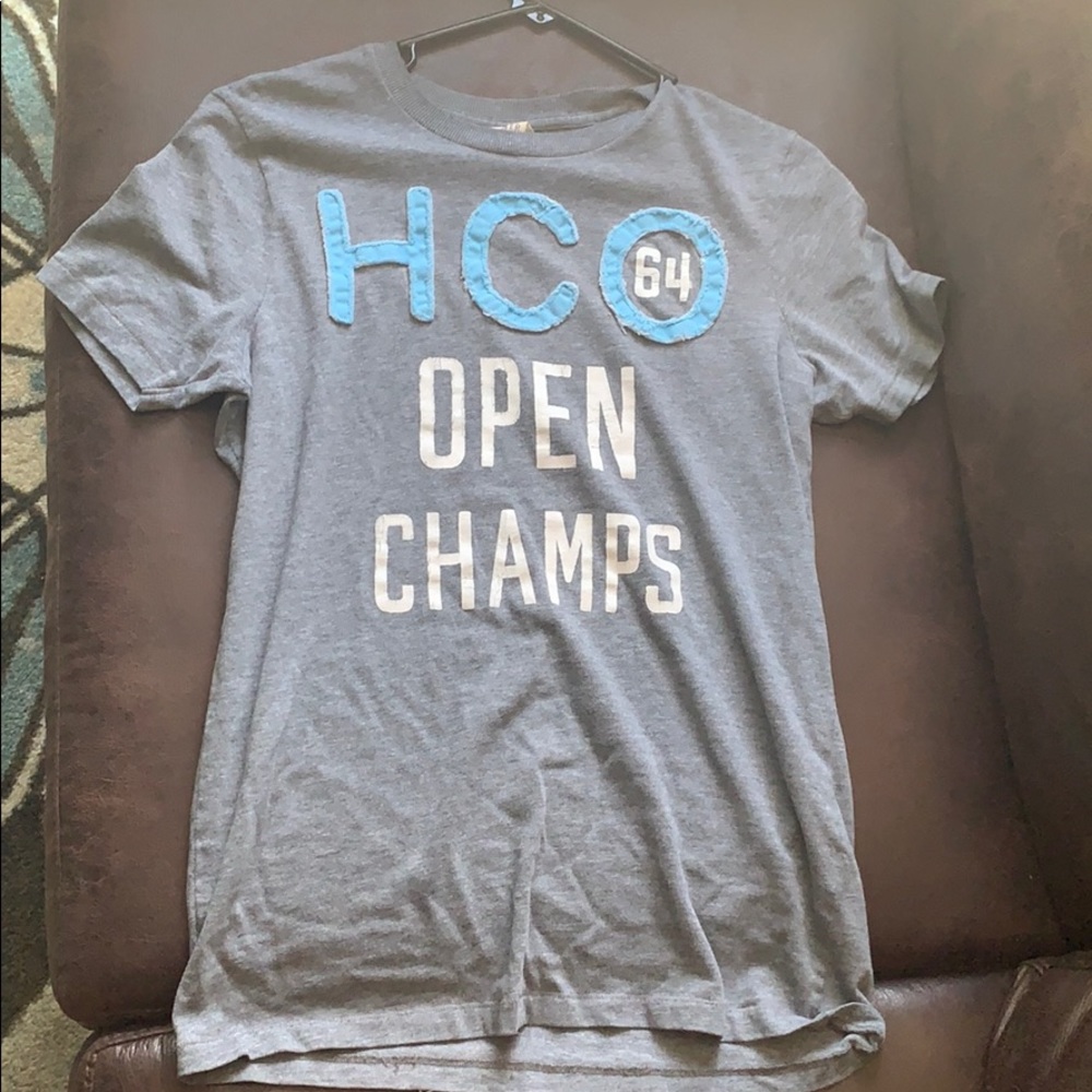 Grey Hollister T- Shirt in an Adult Small